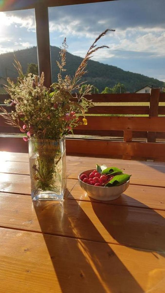 Four bedroom house with terrace Otočac, Velebit  K