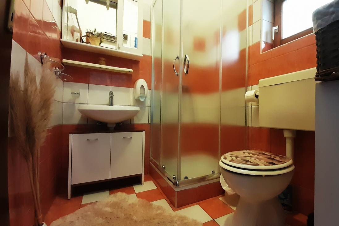 One bedroom apartment with terrace Pula  A-a