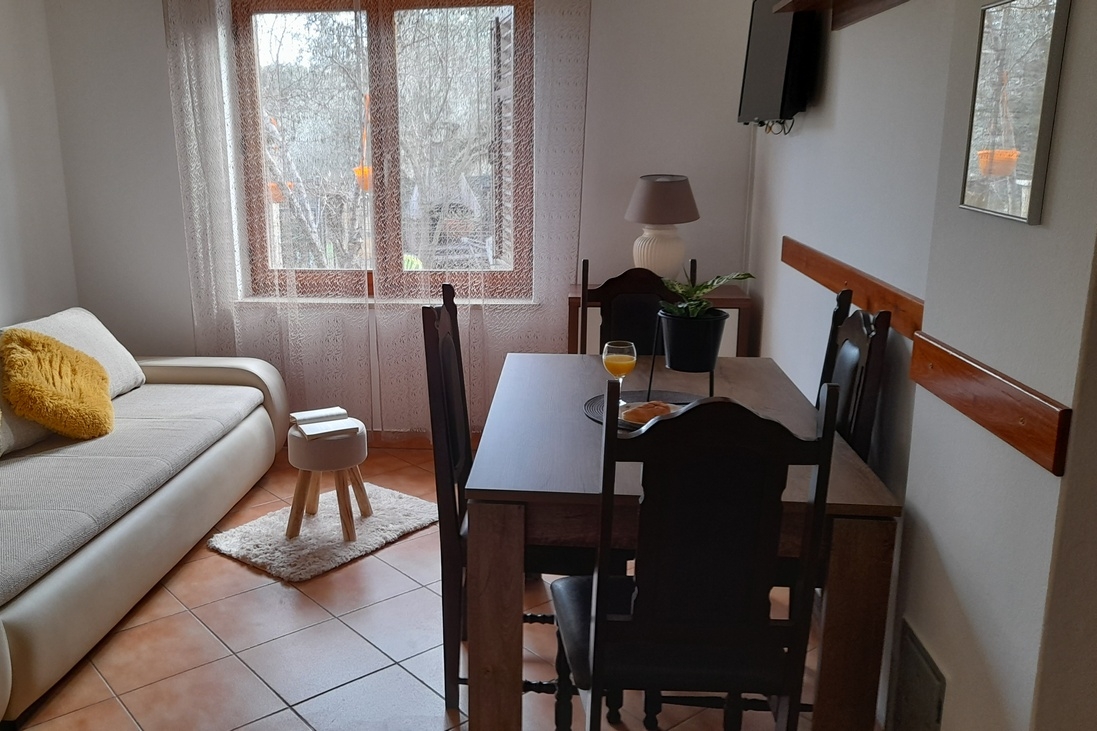 One bedroom apartment with terrace Pula  A-a
