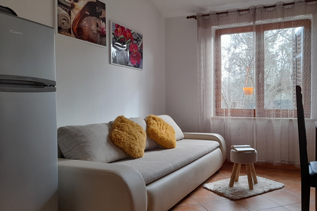 One bedroom apartment with terrace Pula  A-a