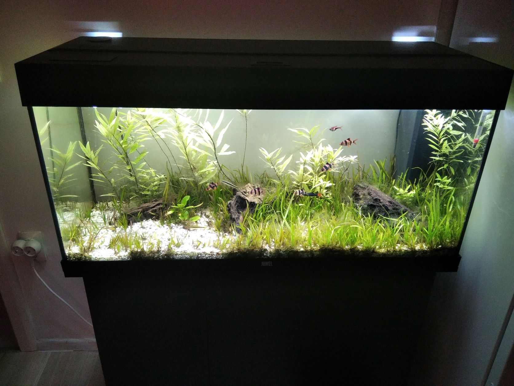 Top Kaštela Kaštel Štafilić Top Kaštela Kaštel Štafilić