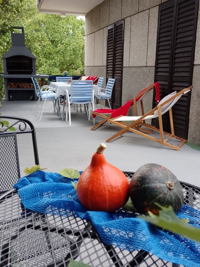 Two bedroom house with terrace Jastrebarsko, Prigorje  K