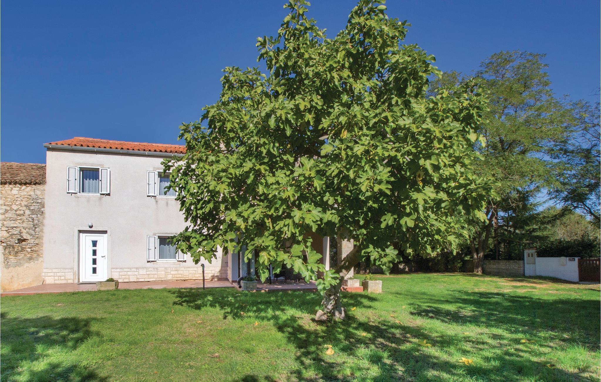 Top Medulin Top Medulin