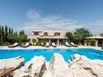 Murter, Murter, Property 20819 - Apartments with pebble beach.
