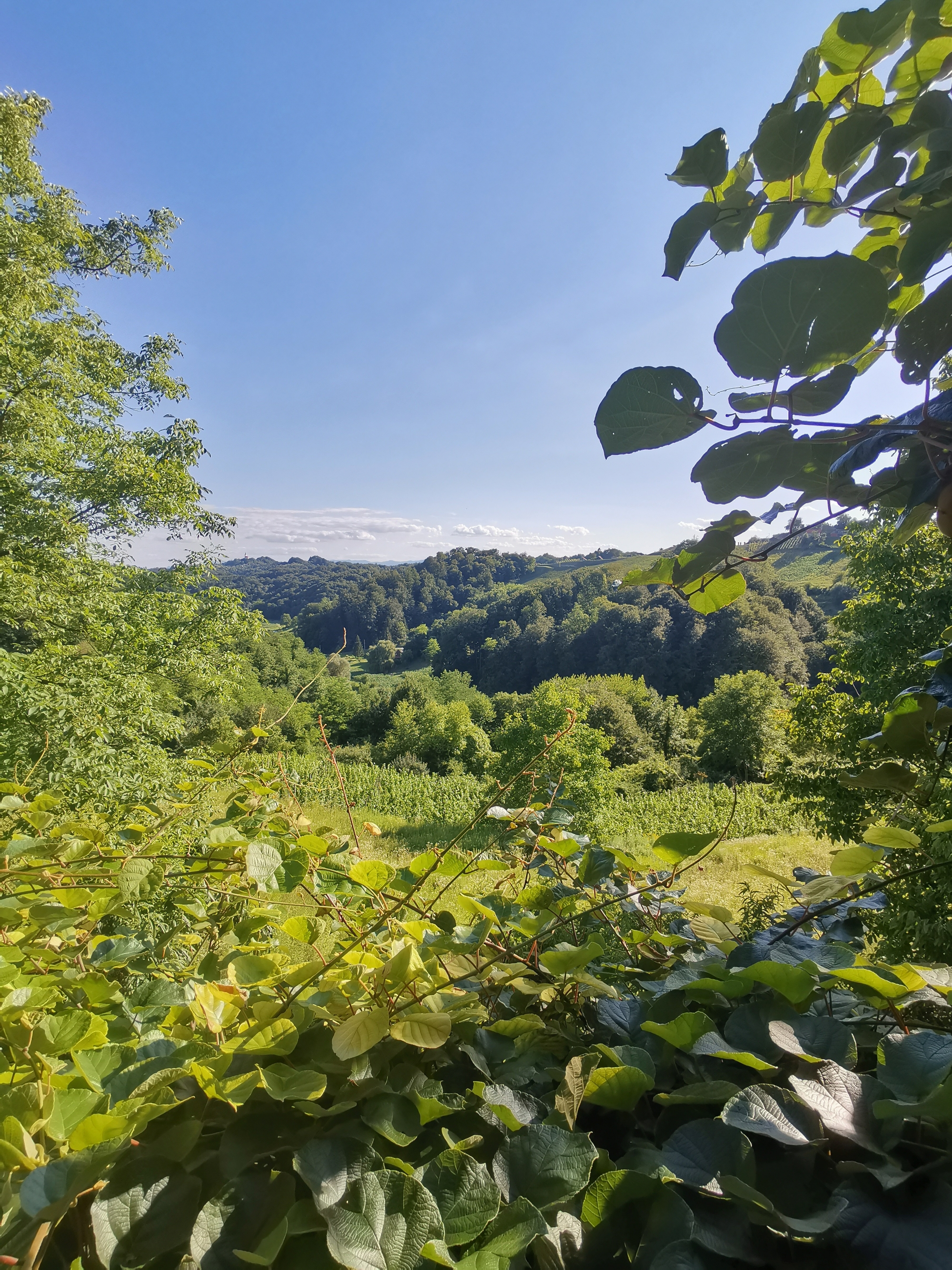 One bedroom house with terrace Tuheljske Toplice, Zagorje  K