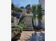 Kneža, Korčula, Jardín 20892 - Apartamentos by the sea.