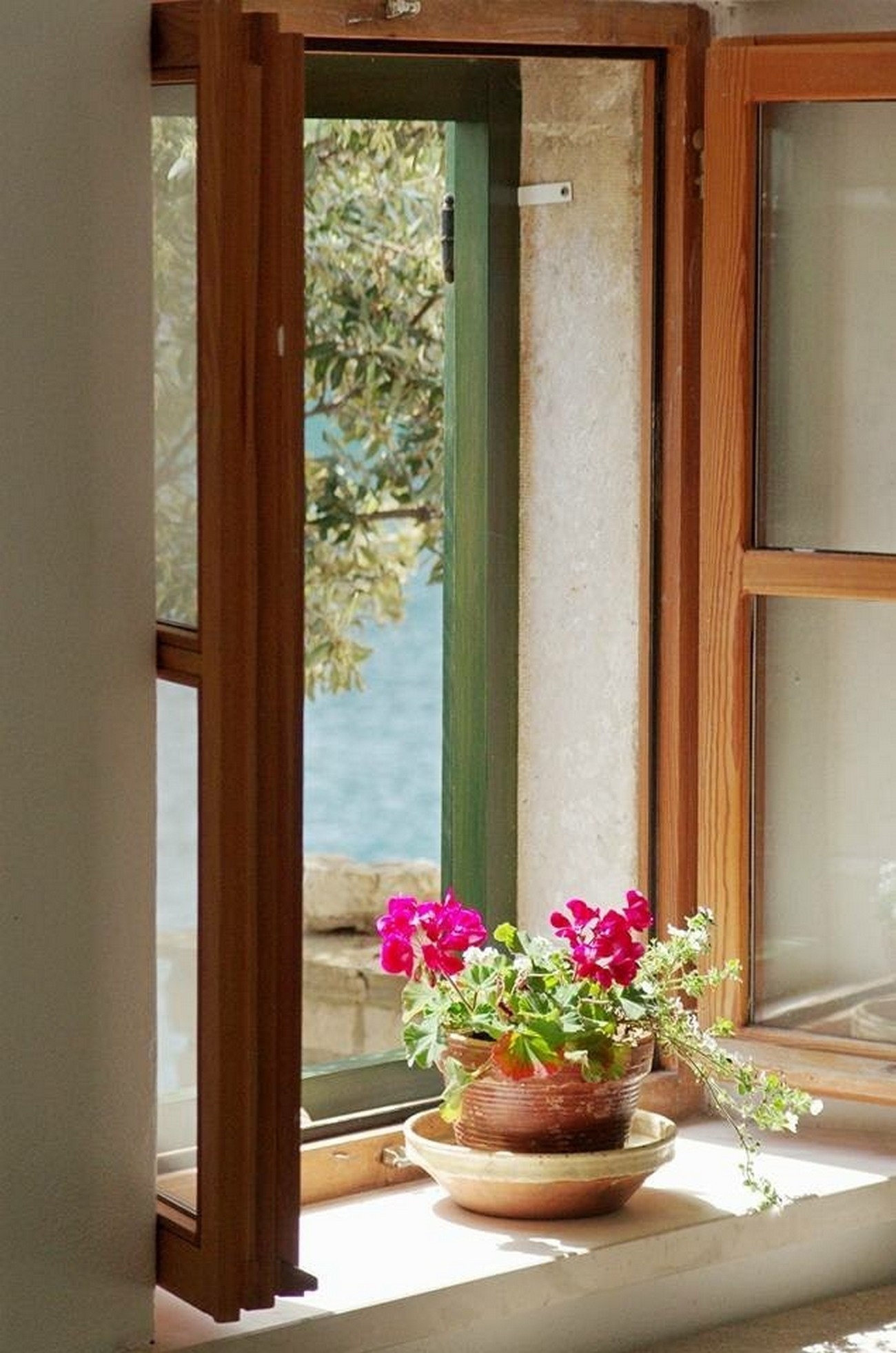 Top Brač Vela Studena Top Brač Vela Studena