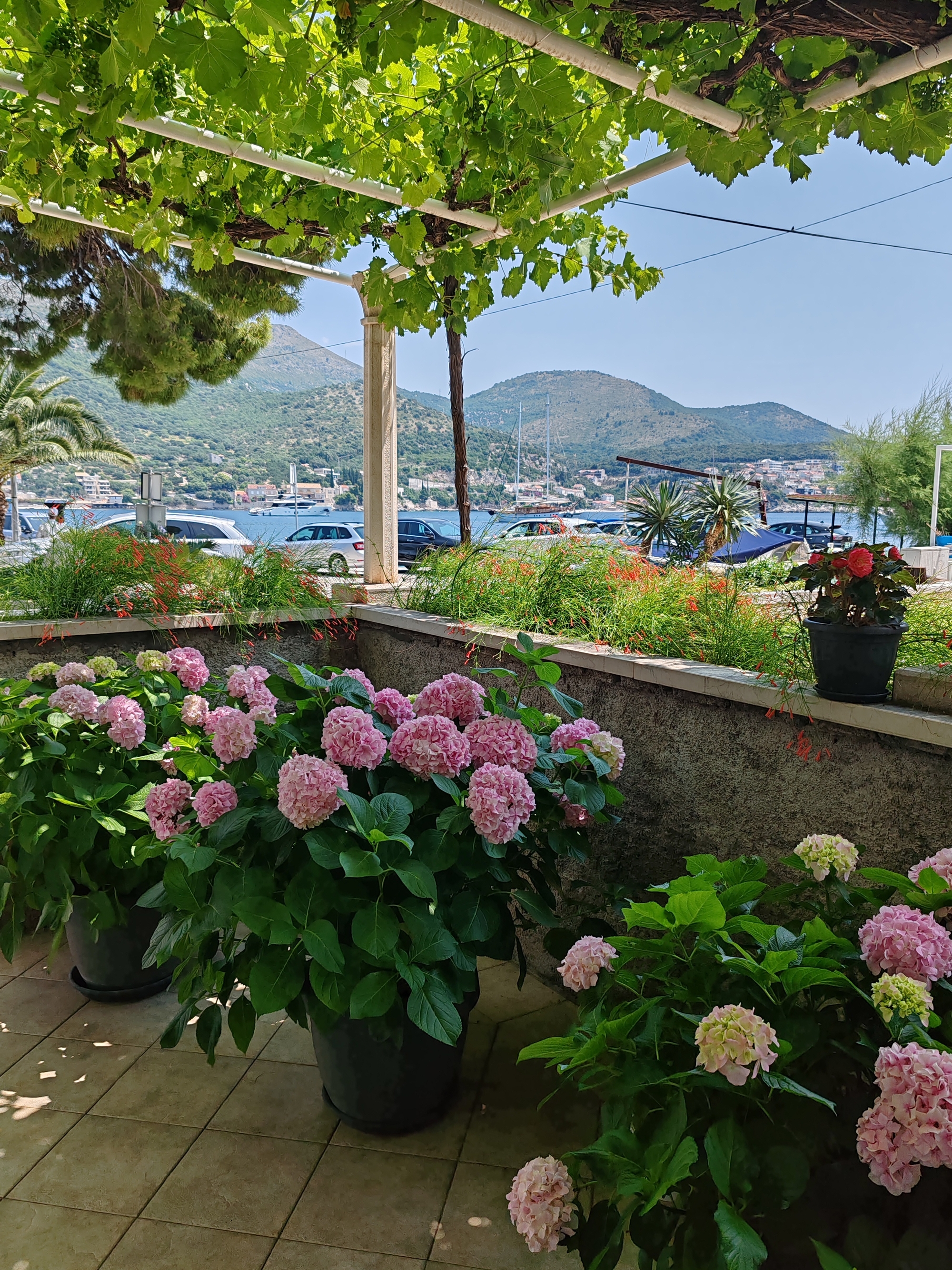 Top Dubrovnik Zaton Veliki Top Dubrovnik Zaton Veliki