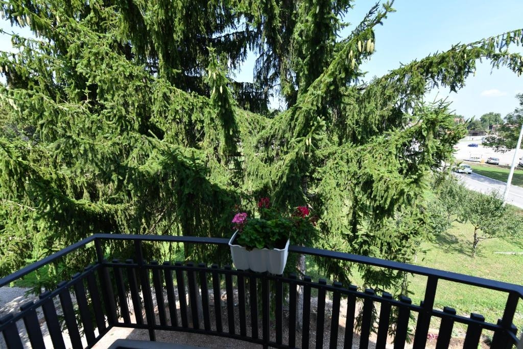 Studio flat with balcony Rakovica, Plitvice  AS-a