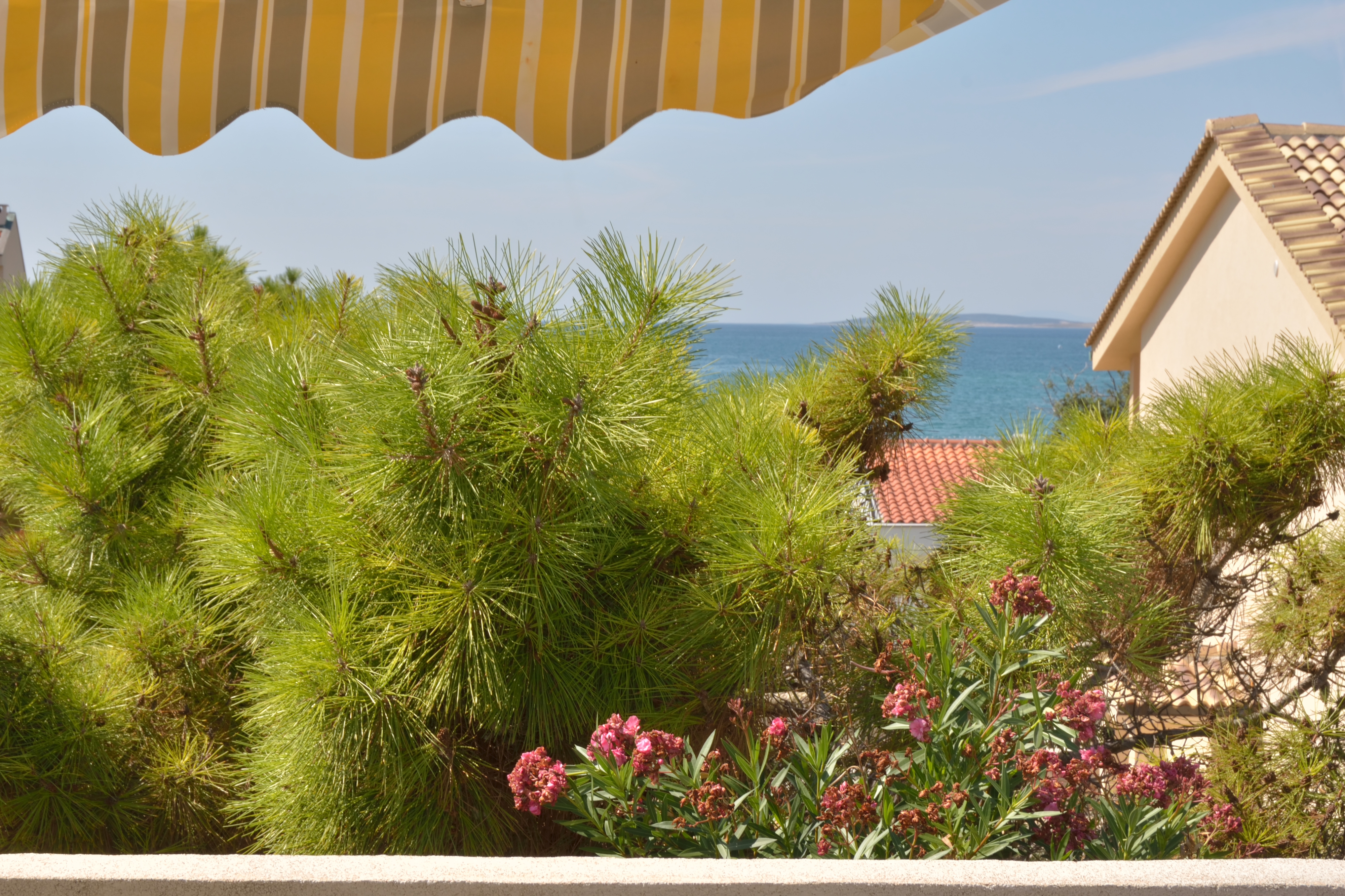 Studio flat with terrace and sea view Povljana, Pag  AS-a