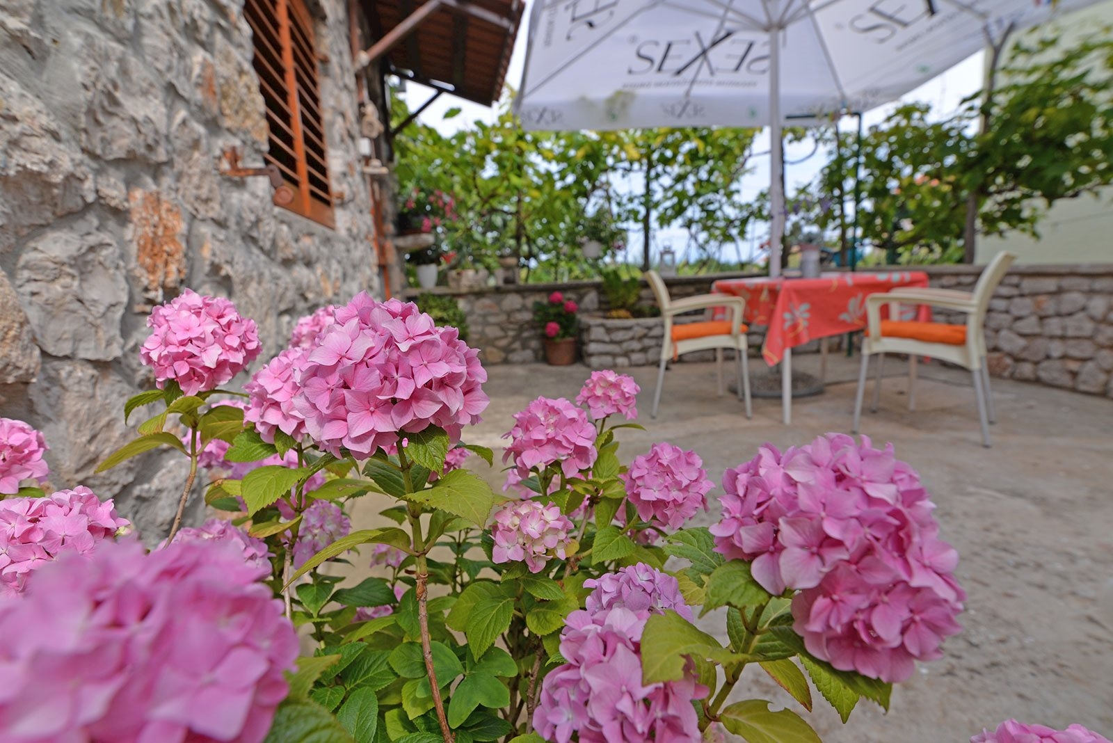 Studio flat with terrace Veli Lošinj, Lošinj (AS-21185-d) Studio flat with terrace Veli Lošinj, Lošinj (AS-21185-d)