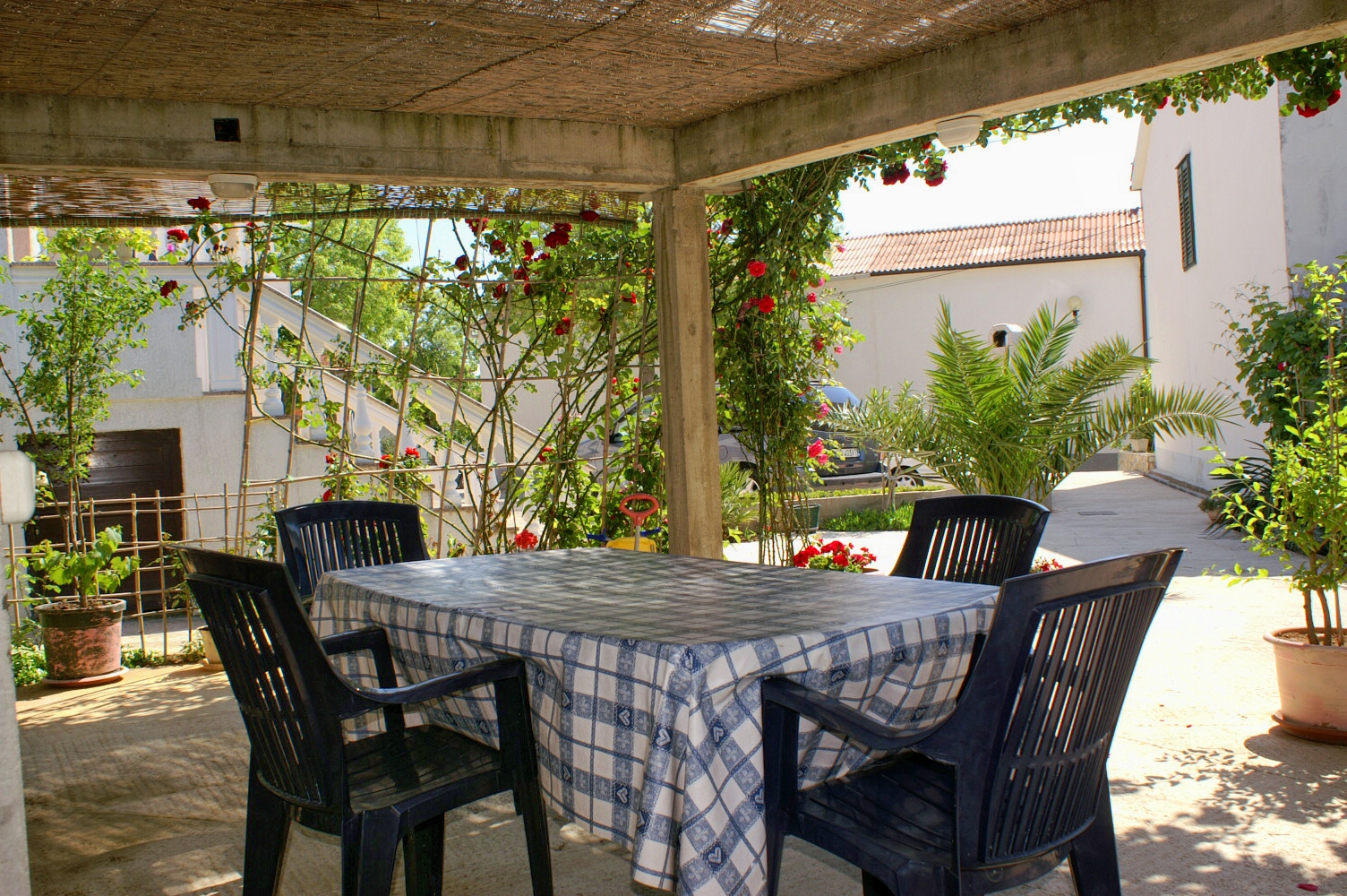 Top Pag Novalja Top Pag Novalja