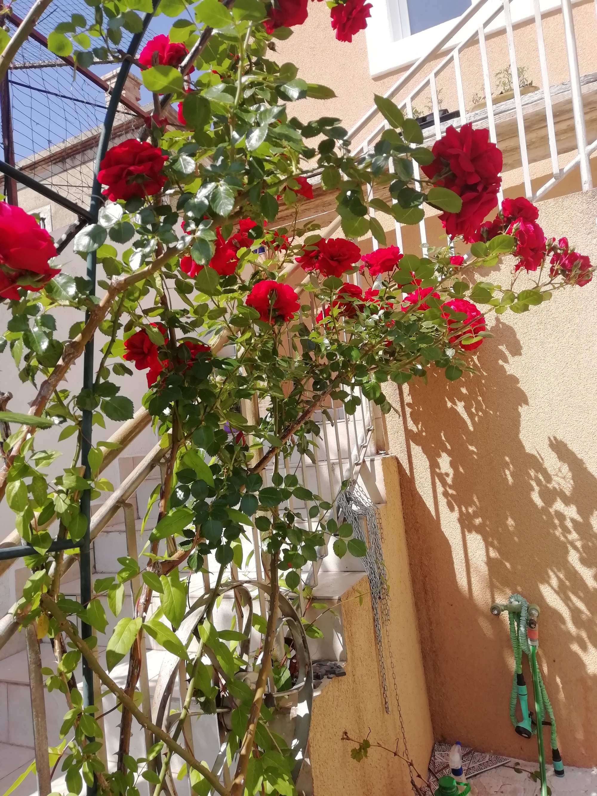 Jednosobni apartman s terasom i pogledom na more Prvić Luka, Prvić  A-a