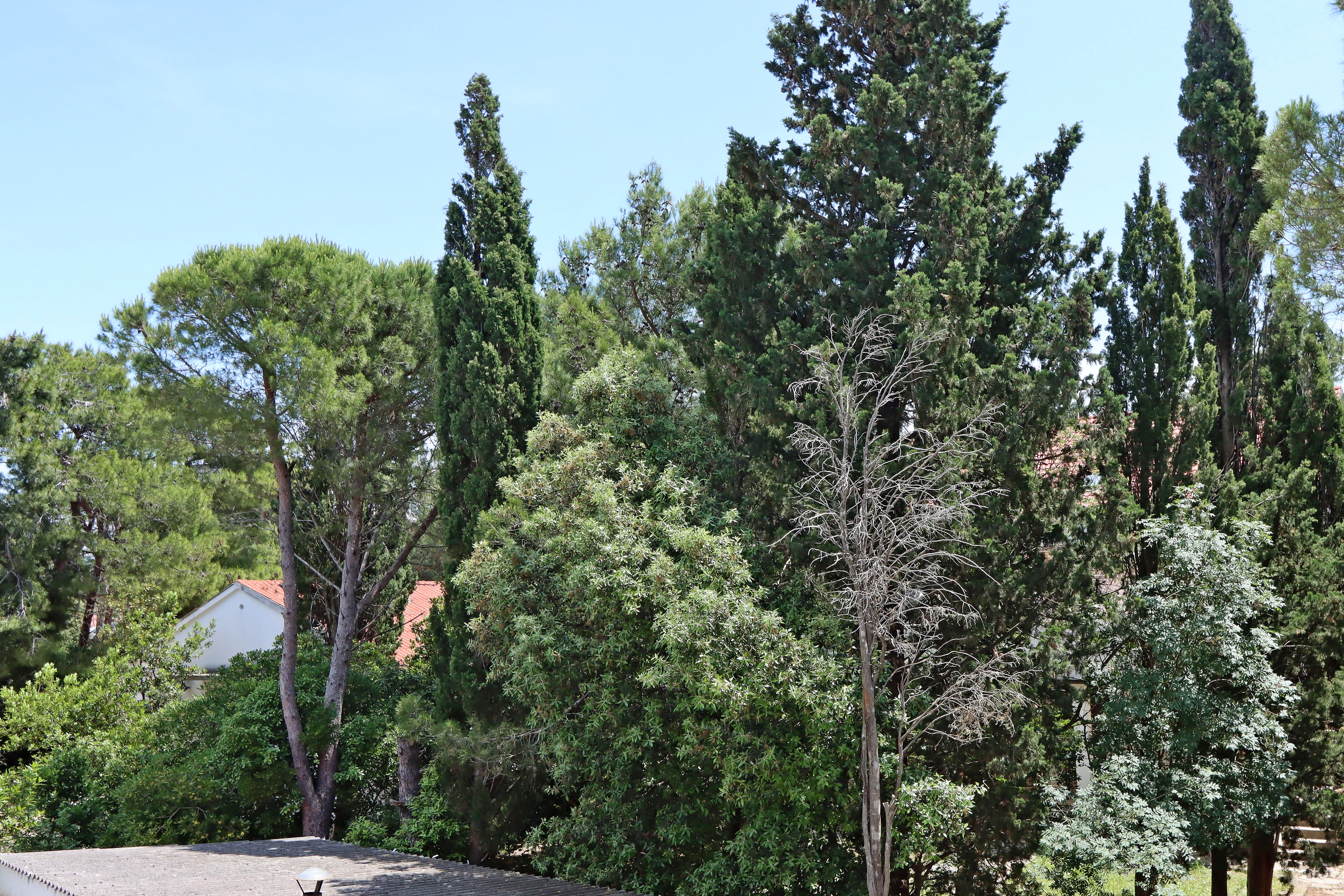 One bedroom apartment with terrace Novalja, Pag  A-c