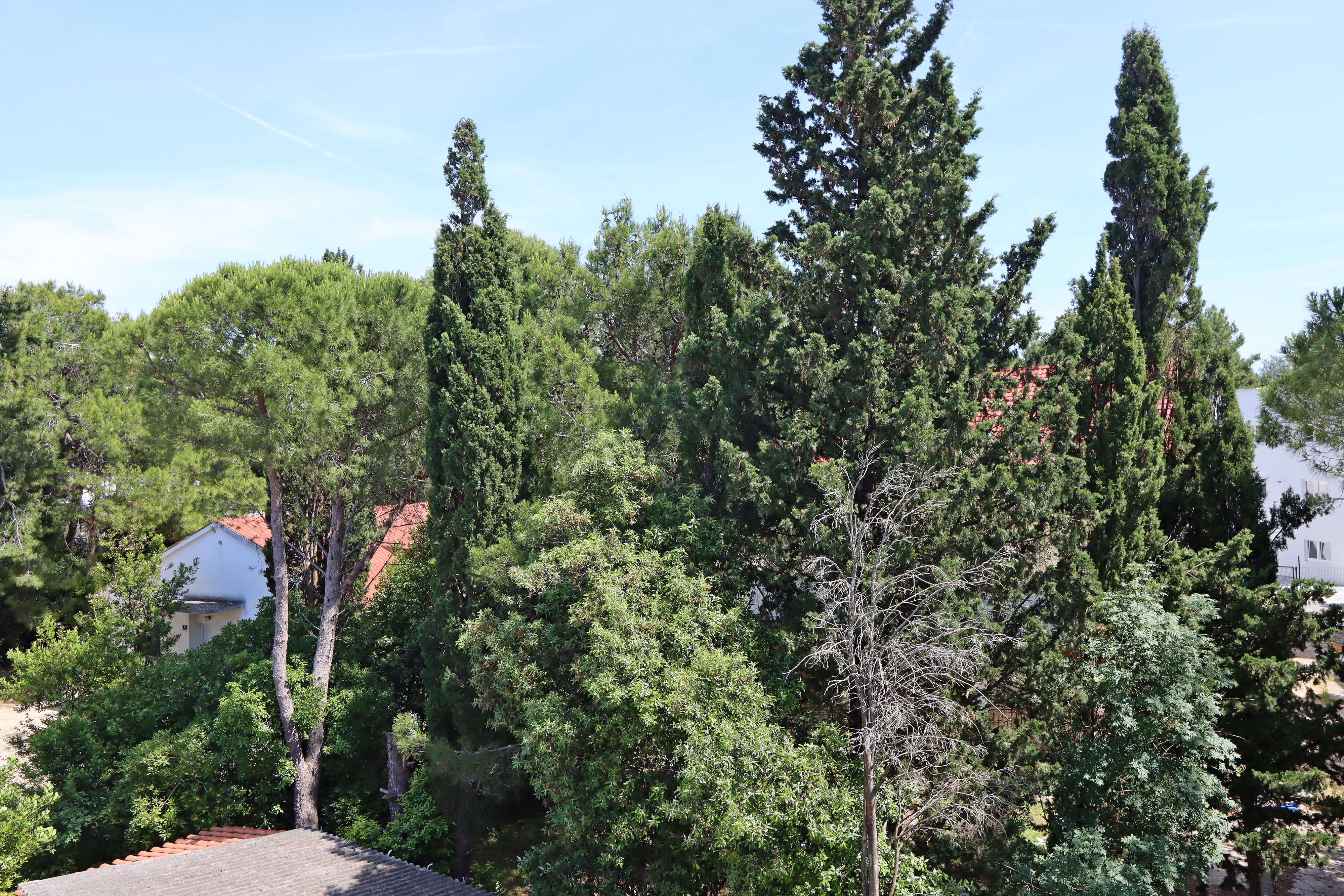 Two bedroom apartment with terrace Novalja, Pag  A-e