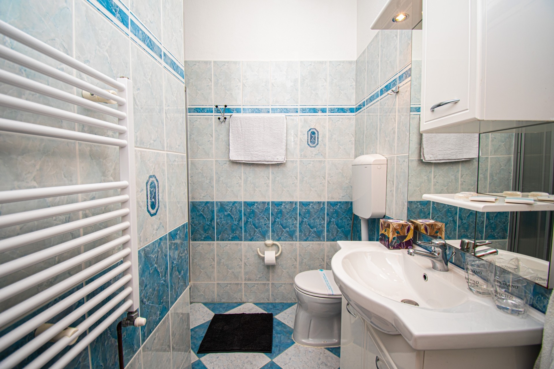 One bedroom apartment with terrace Poreč  A-c