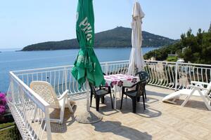 Apartments by the sea Molunat, Dubrovnik - 2137