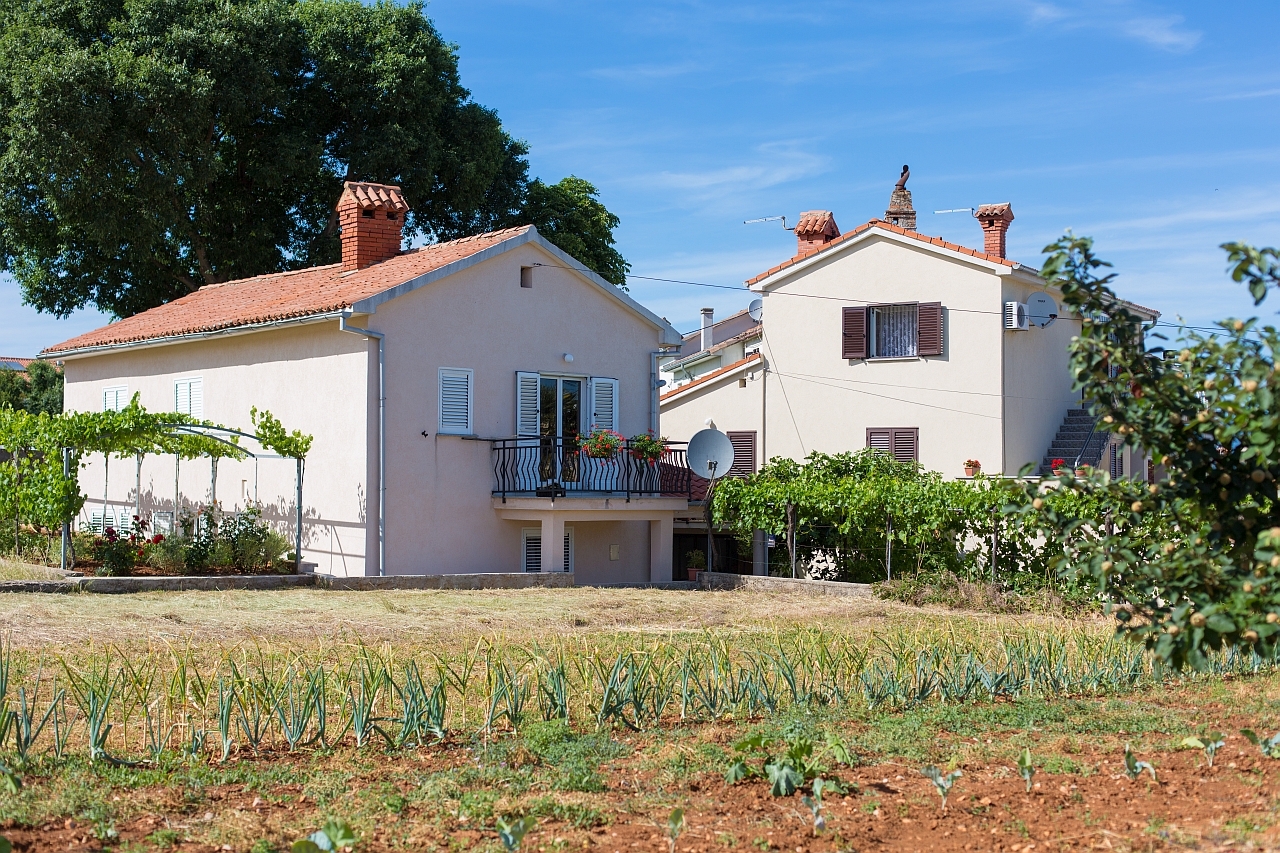 One bedroom apartment with terrace Vantačići, Krk (A-21375-a) One bedroom apartment with terrace Vantačići, Krk (A-21375-a)