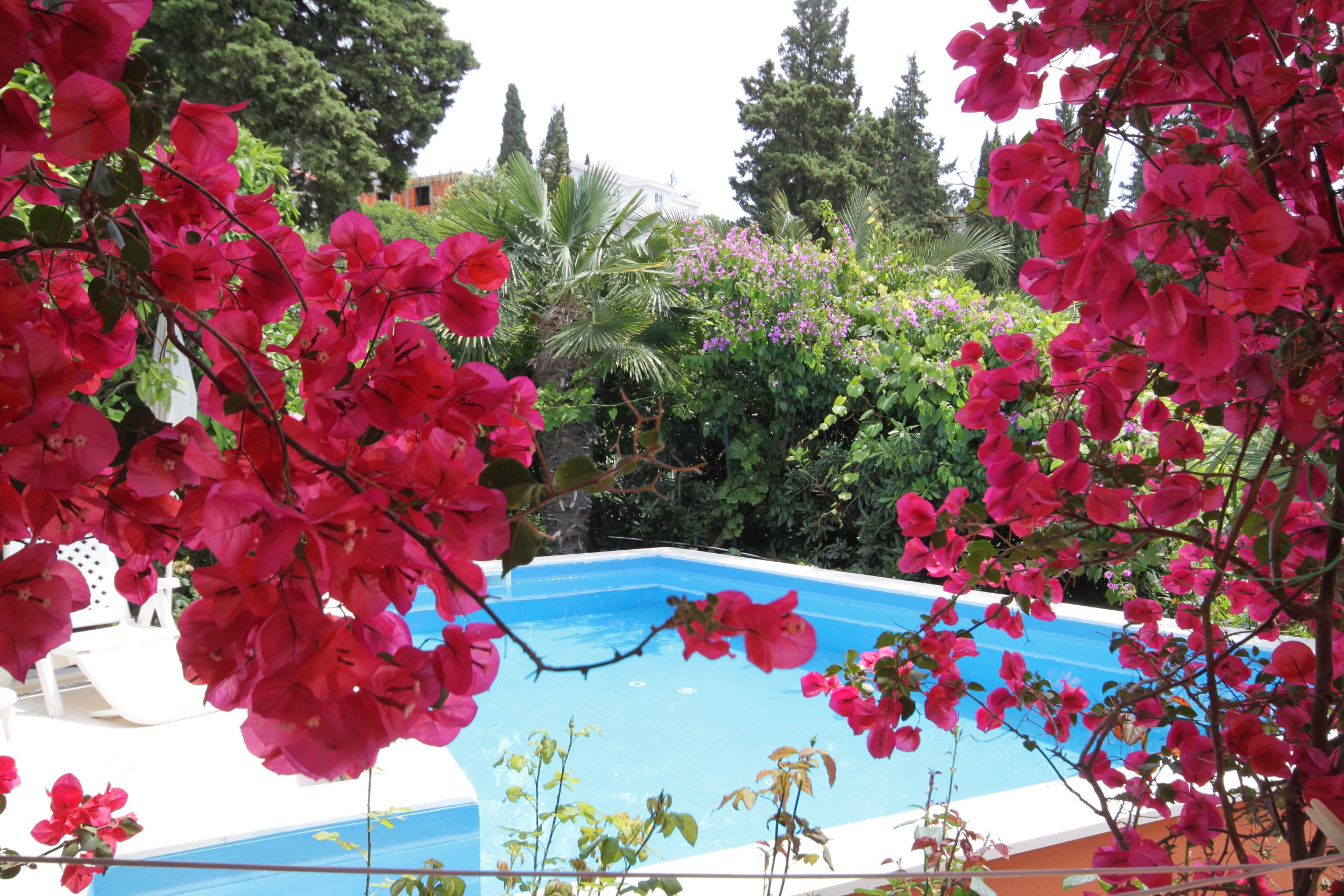 Four bedroom house with terrace Mlini, Dubrovnik  K