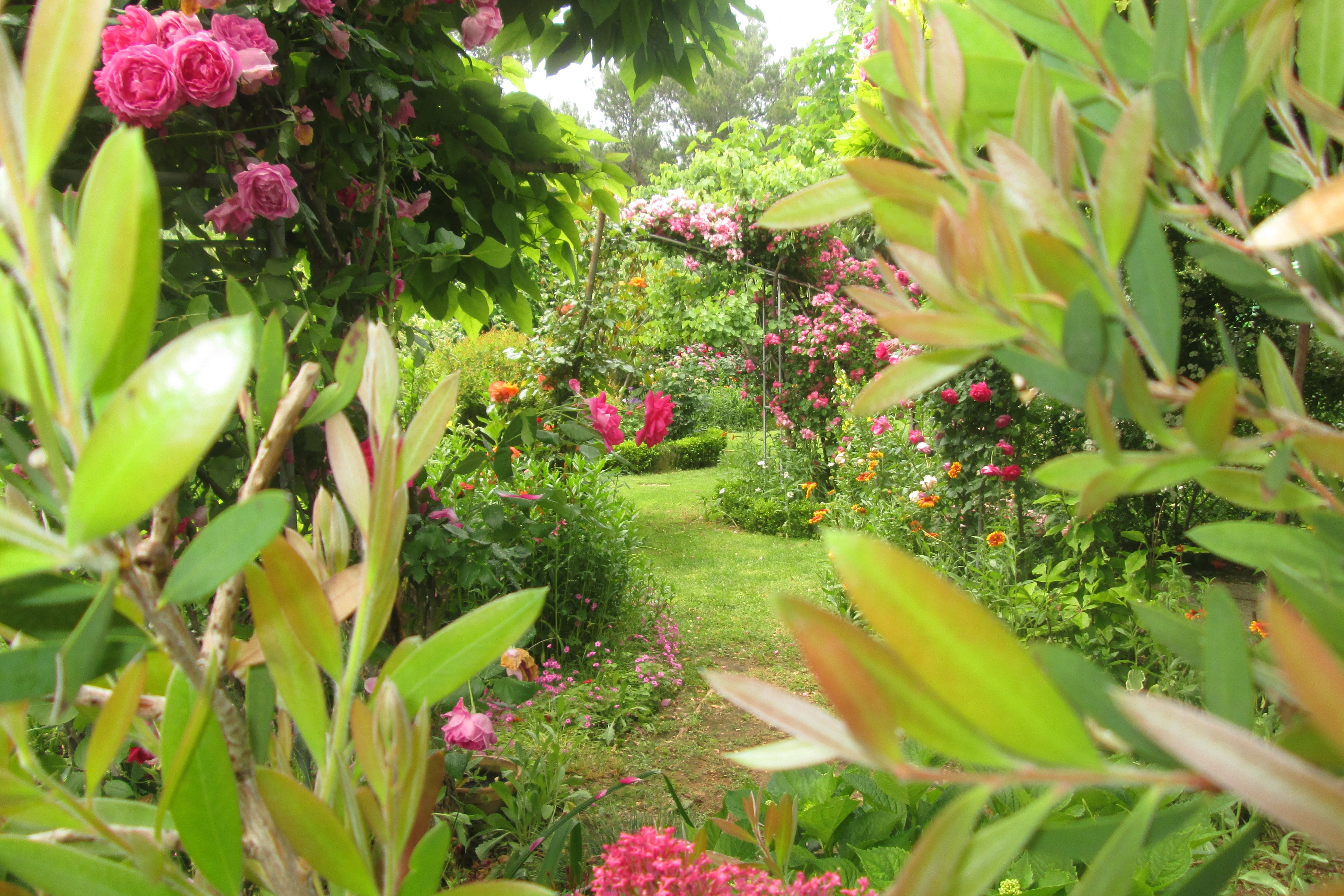 Dvosobni apartman s klimom Vir  A-b