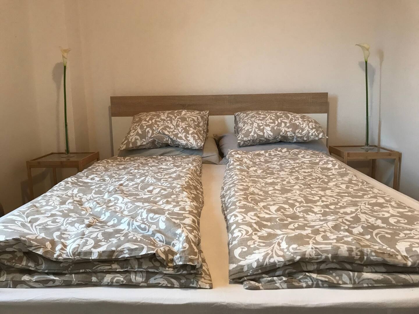 Top Pag Novalja Top Pag Novalja