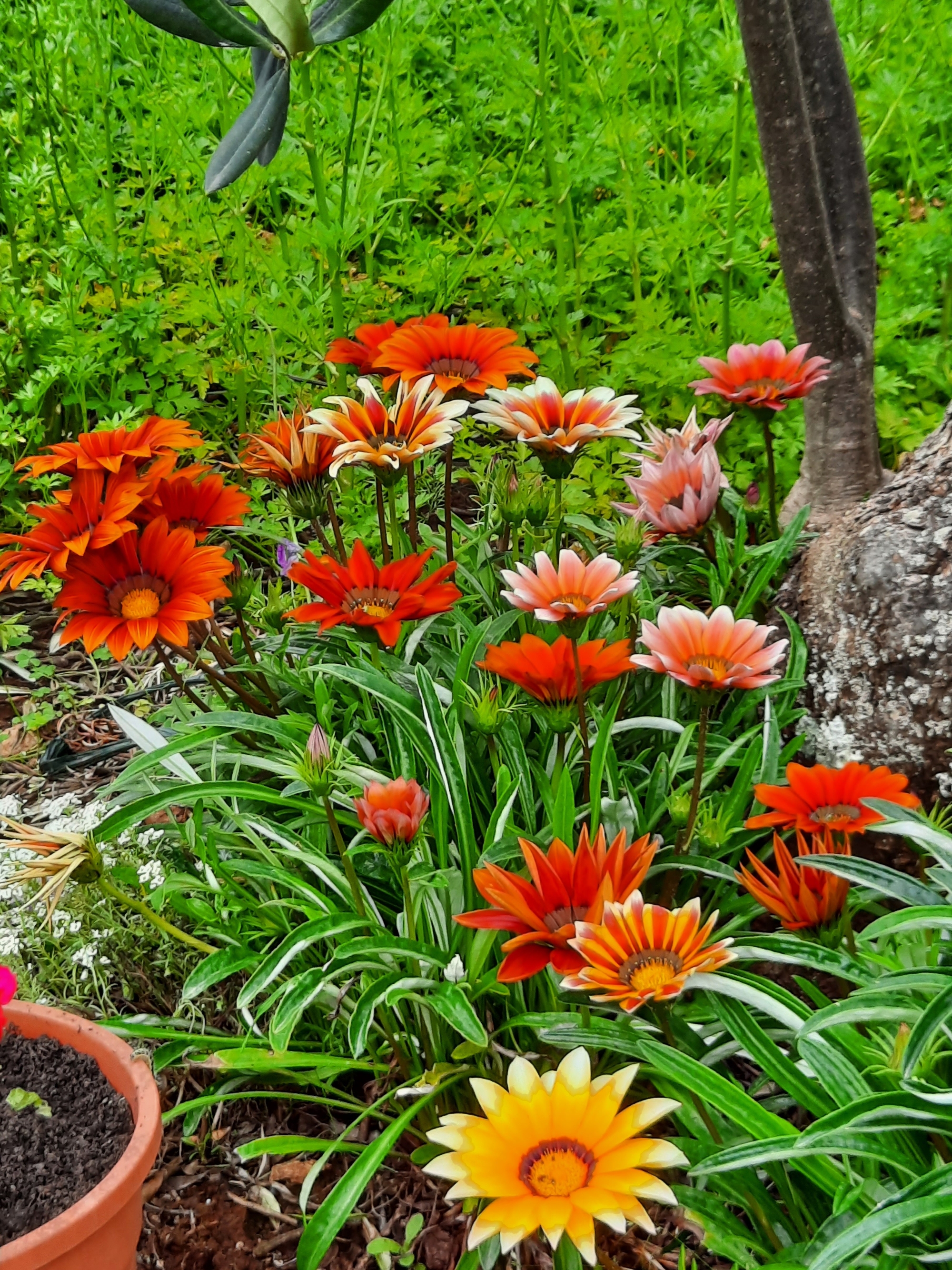 Top Pelješac Luka Dubrava Top Pelješac Luka Dubrava
