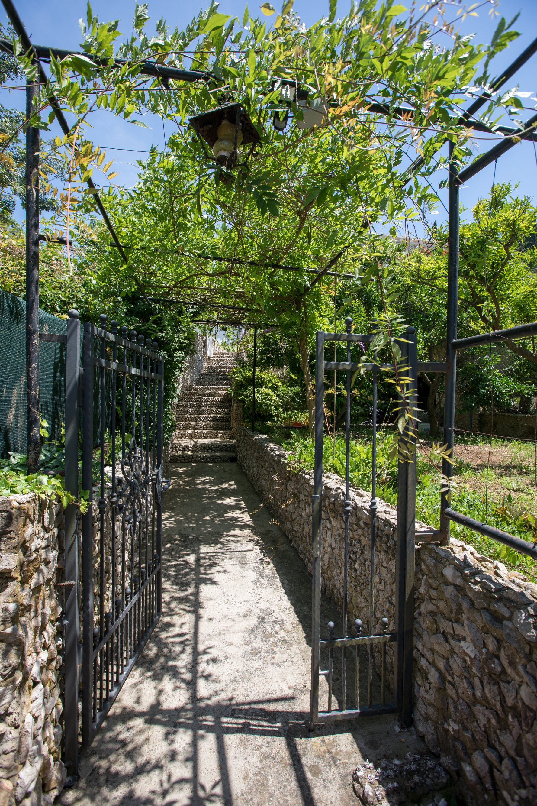 Top Elafiti Lopud Top Elafiti Lopud