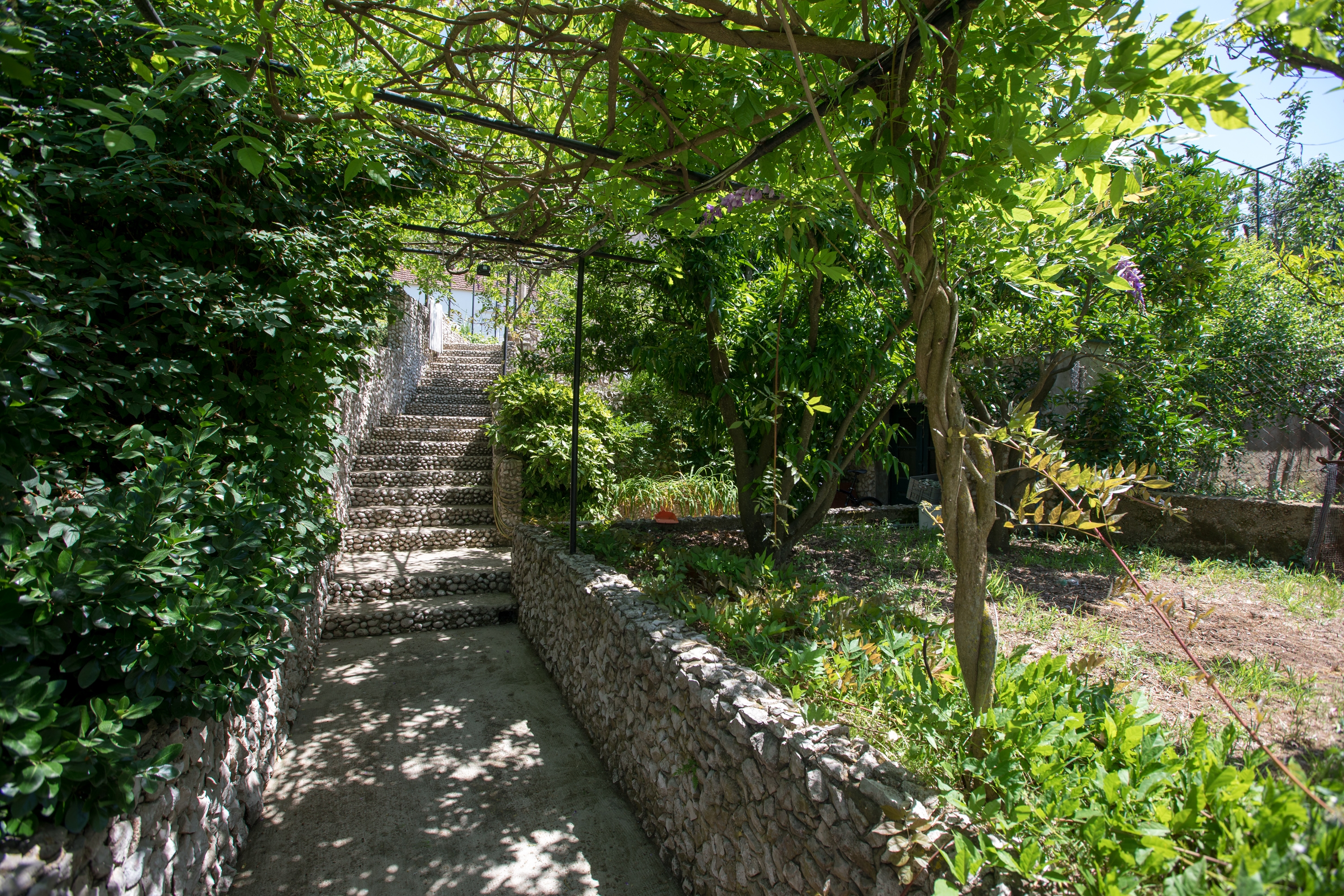 Top Elafiti Lopud Top Elafiti Lopud