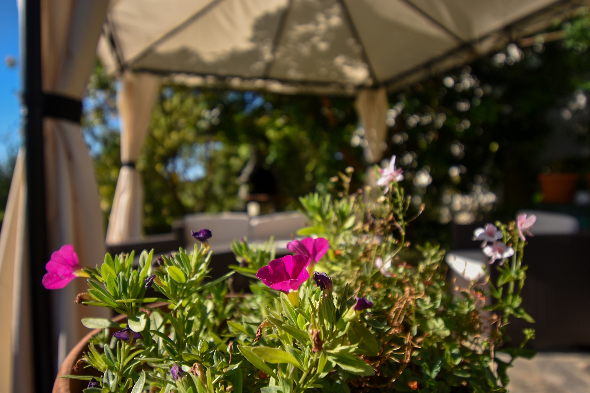 Three bedroom apartment with terrace Palit, Rab (A-21755-a) Three bedroom apartment with terrace Palit, Rab (A-21755-a)