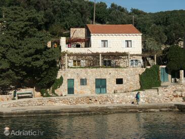 Property Suđurađ, Elafiti, Property 2176 - Apartments by the sea.