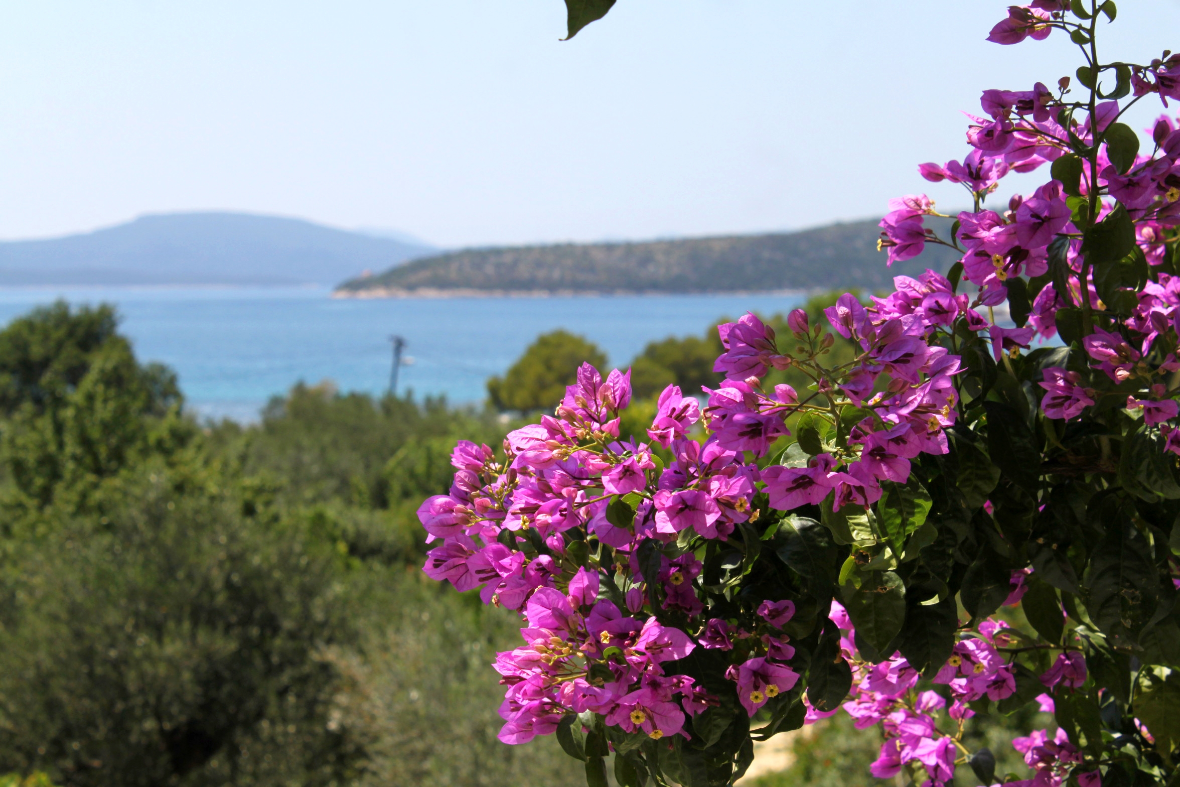 One bedroom apartment with terrace and sea view Slano, Dubrovnik  A-a