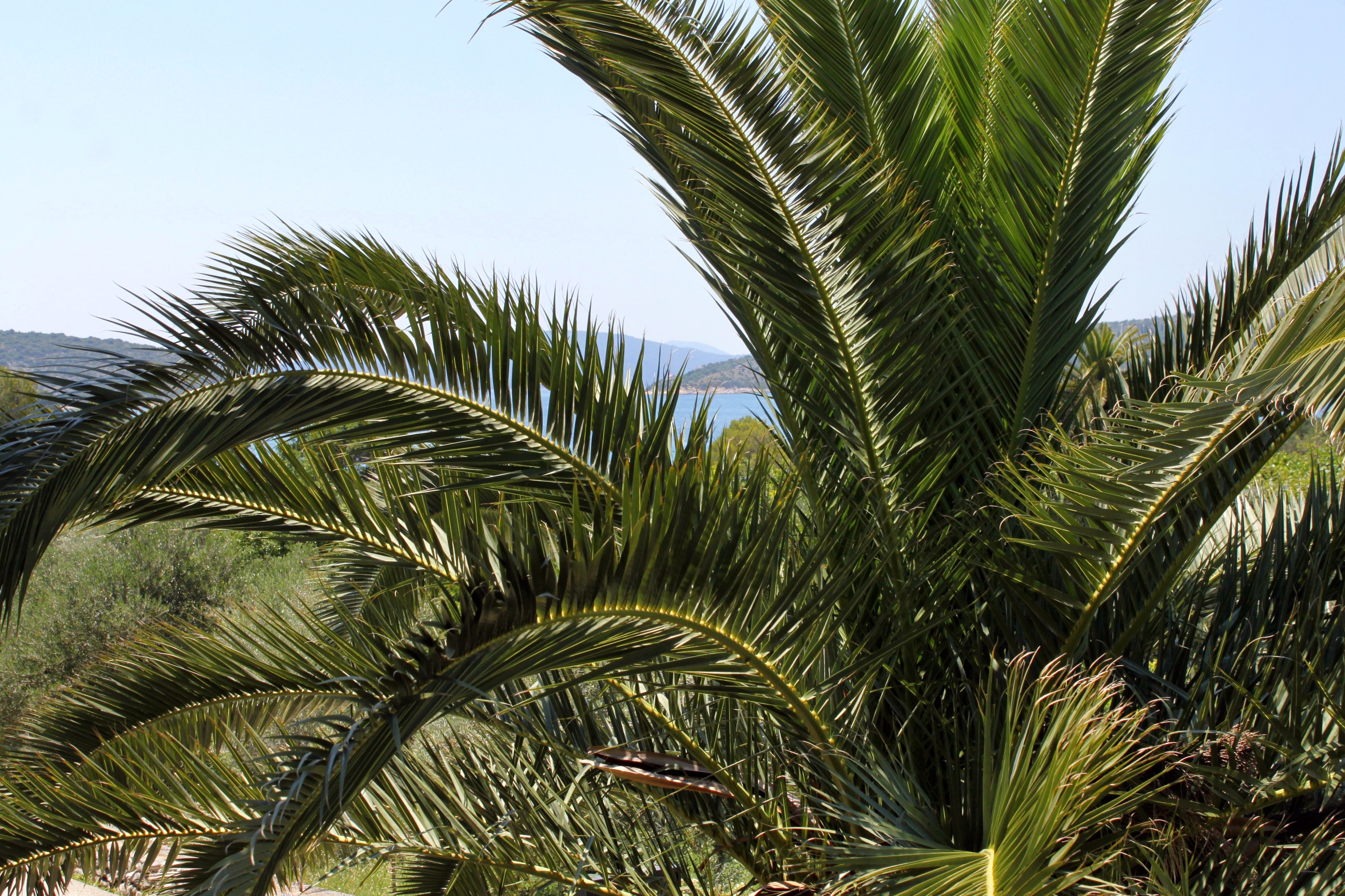 One bedroom apartment with terrace Slano, Dubrovnik  A-b