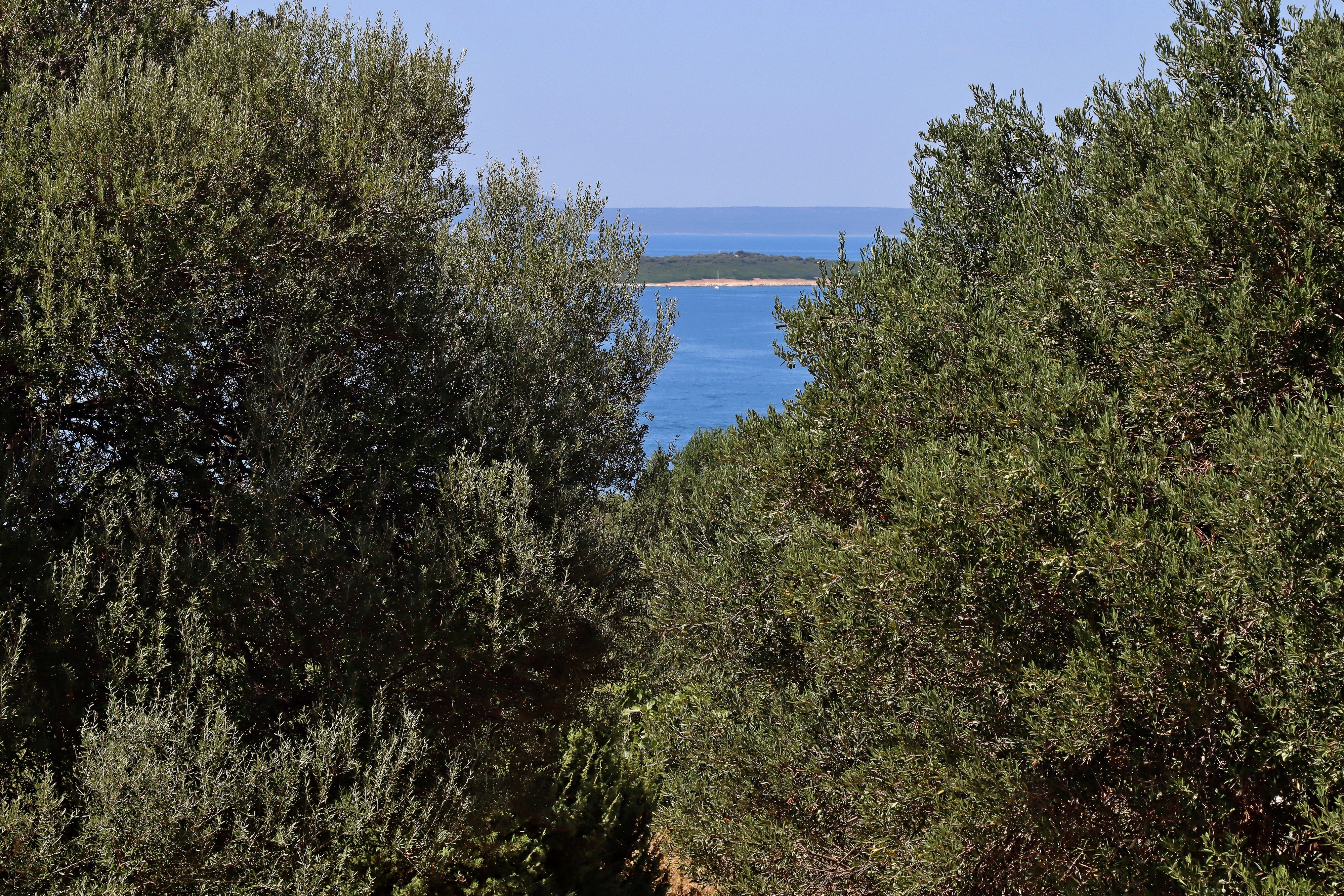 Two bedroom apartment with terrace and sea view Lun, Pag  A-a