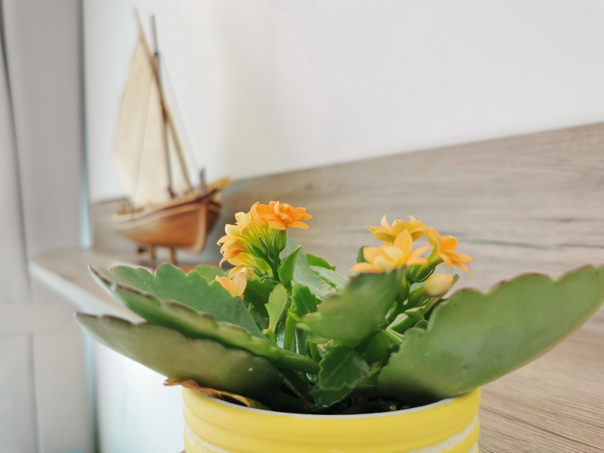 Top Krk Šilo Top Krk Šilo