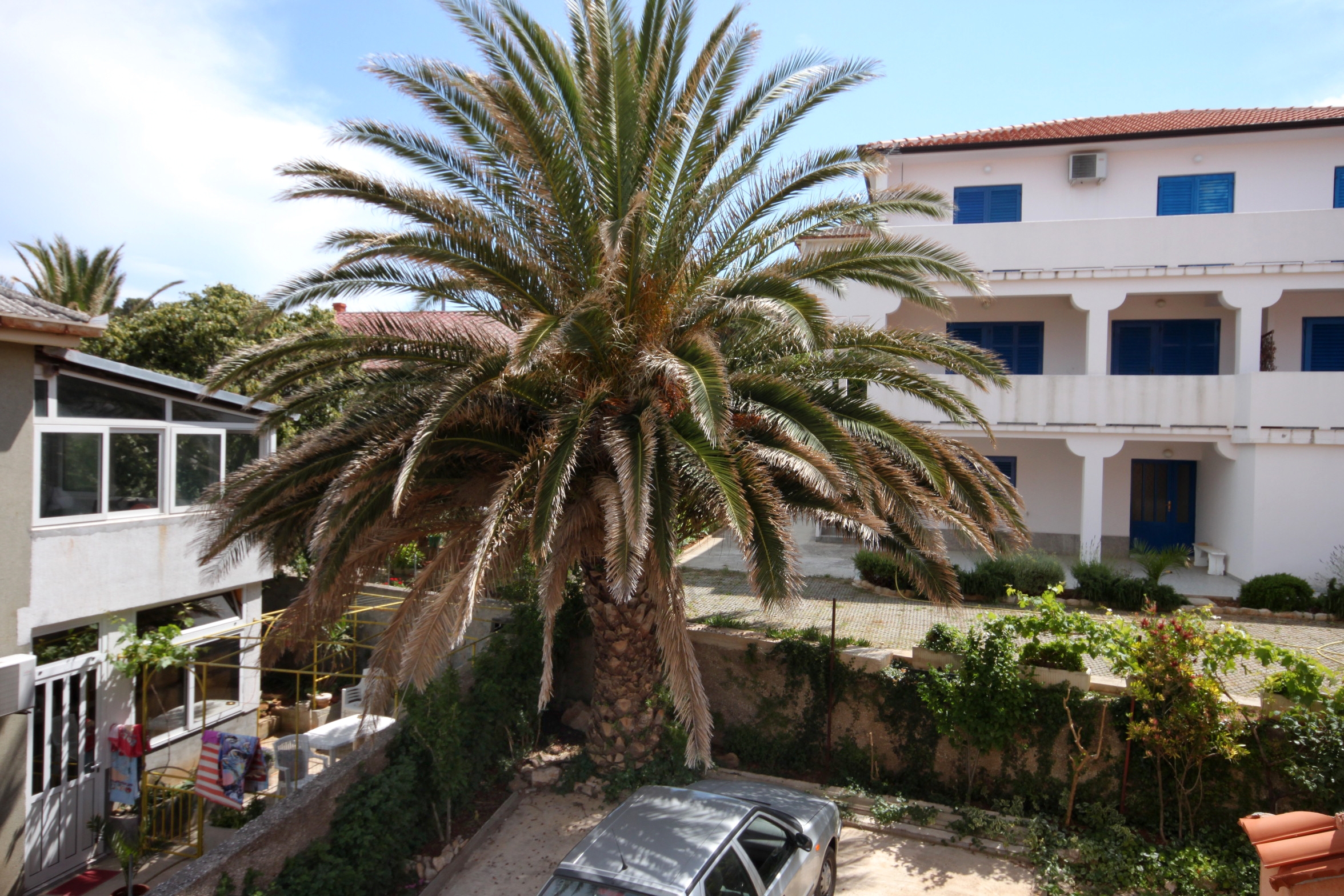 One bedroom apartment with balcony and sea view Mali Lošinj, Lošinj  A-b