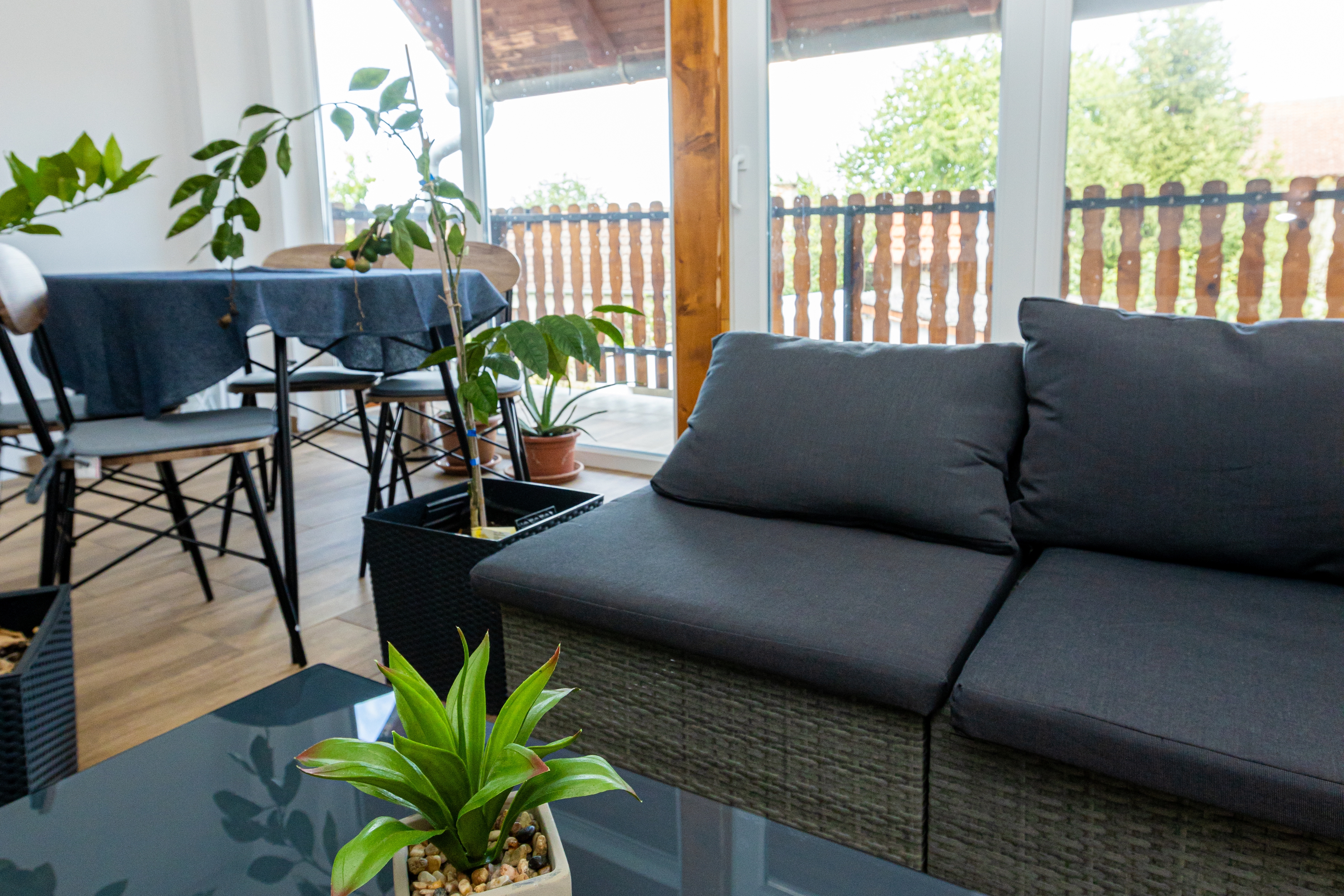 One bedroom apartment with terrace Darda, Baranja (A-21982-b) One bedroom apartment with terrace Darda, Baranja (A-21982-b)