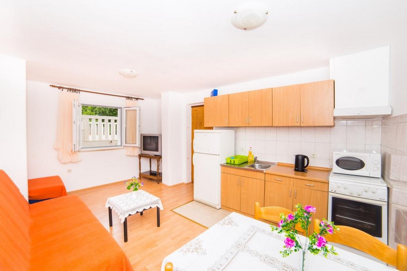 One bedroom apartment near beach Gradac, Makarska (A-21986-a) One bedroom apartment near beach Gradac, Makarska (A-21986-a)