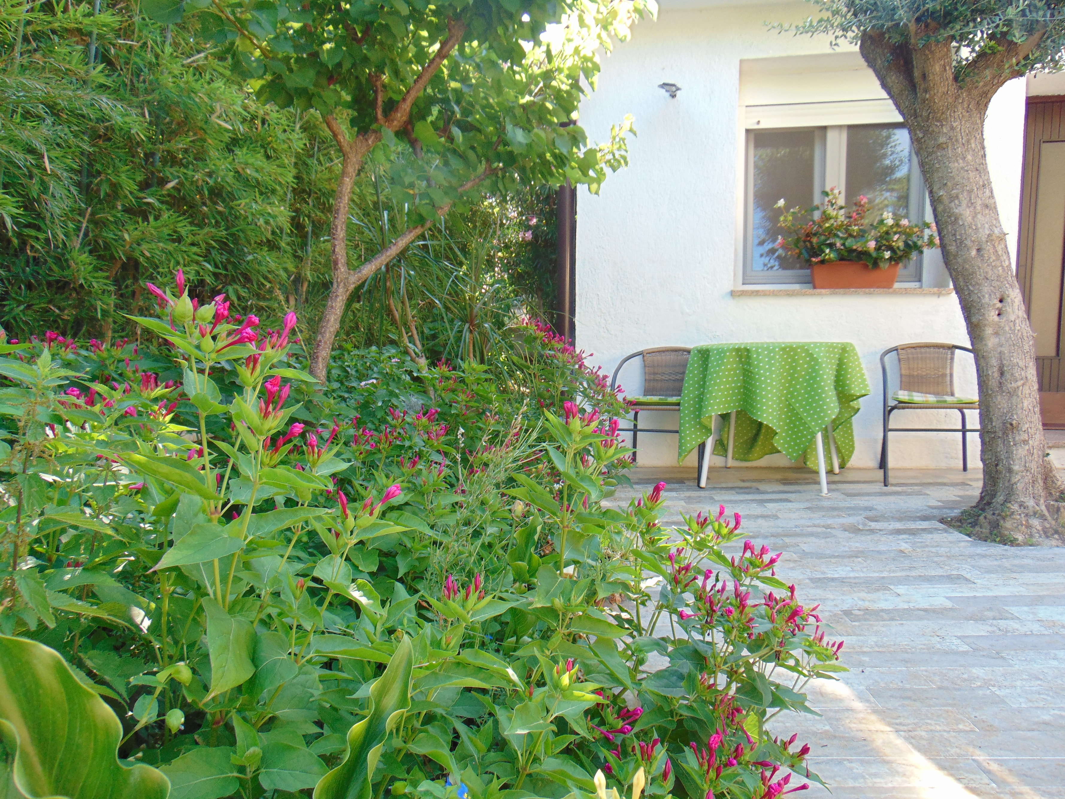 One bedroom house with terrace Rovinj  K