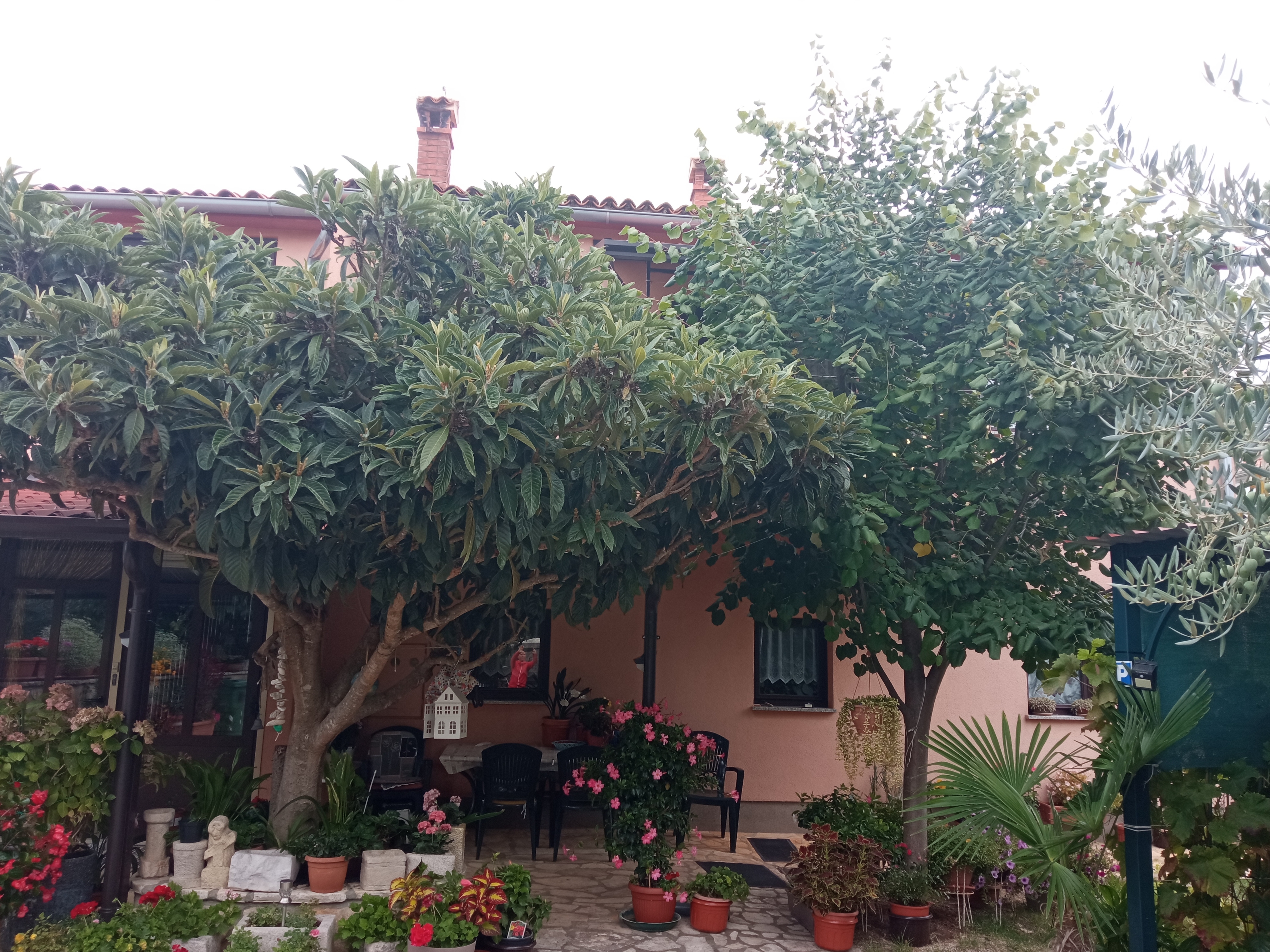 Two bedroom apartment with balcony Rovinj (A-21996-a)