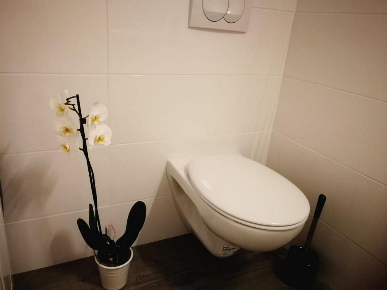 Studio flat with terrace Cove Medvidina, Hvar  AS-a