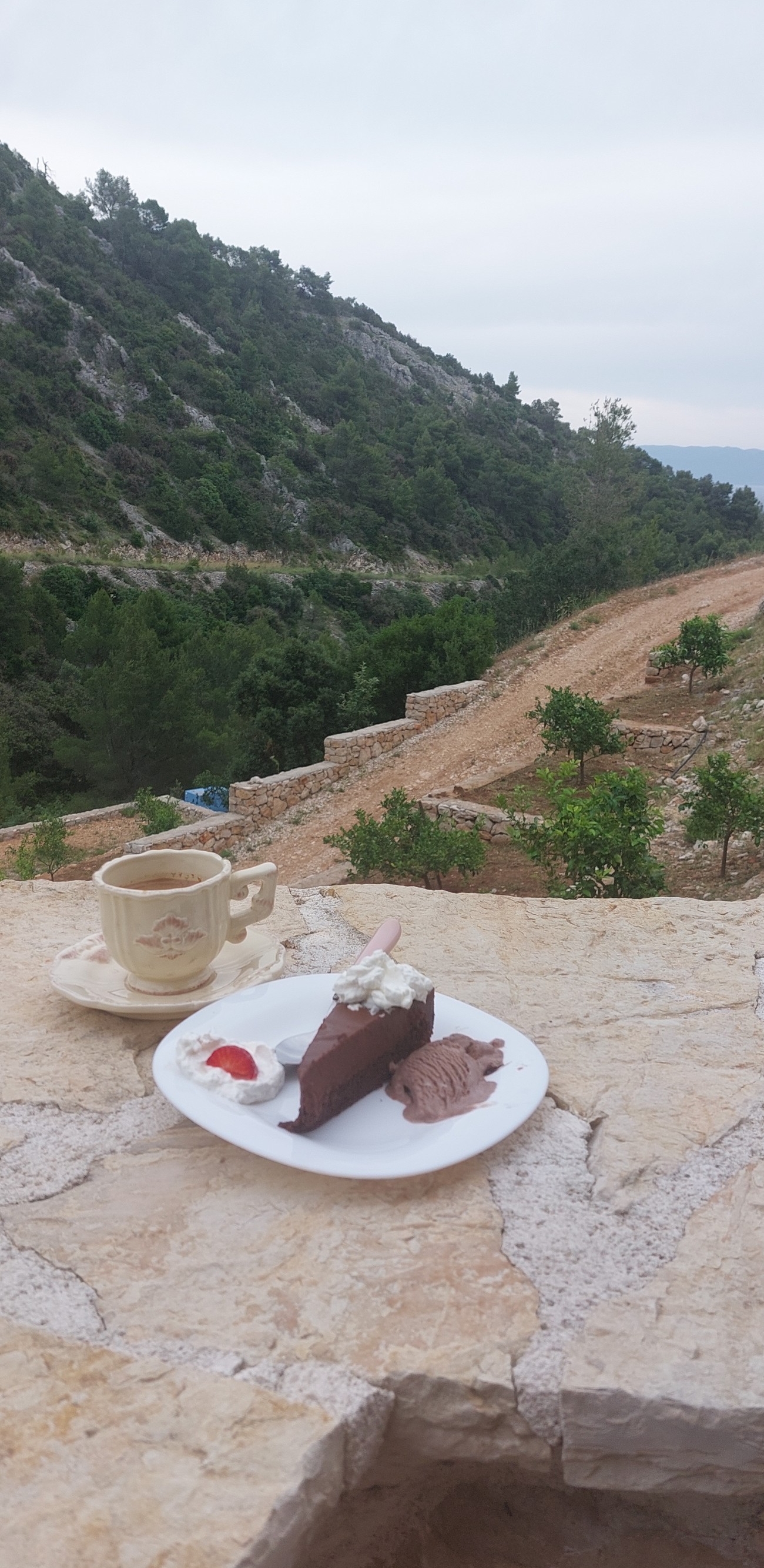 Studio flat with terrace Cove Medvidina, Hvar  AS-a