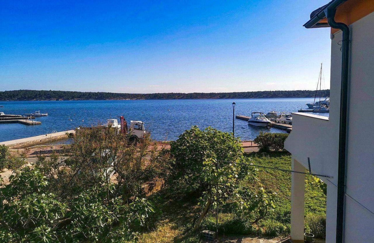 Top Rab Barbat Top Rab Barbat