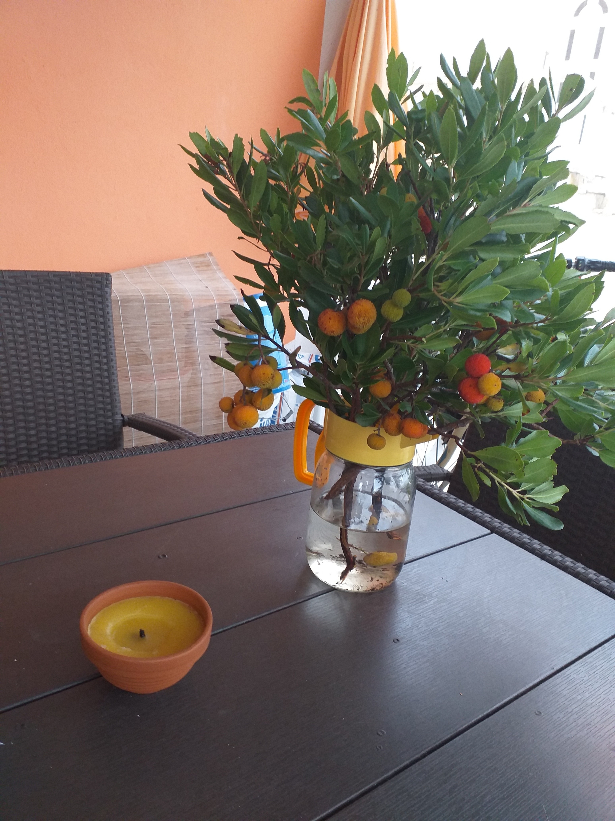 One bedroom apartment with terrace Vir - Lozice, Vir  A-a