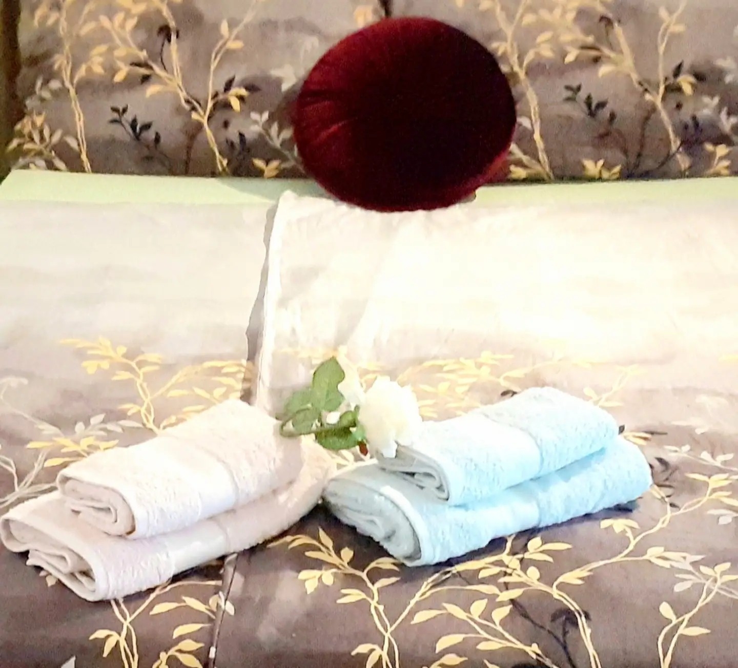 Top Senj Bunica Top Senj Bunica