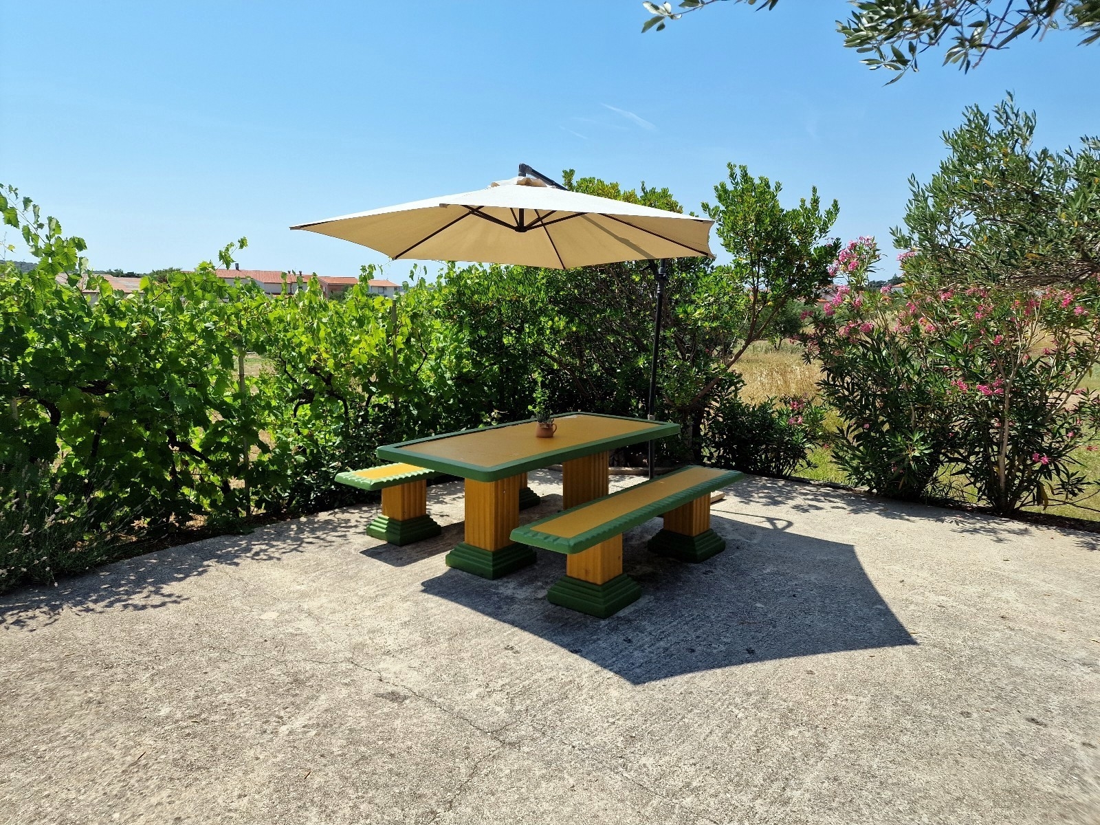 Top Rab Barbat Top Rab Barbat