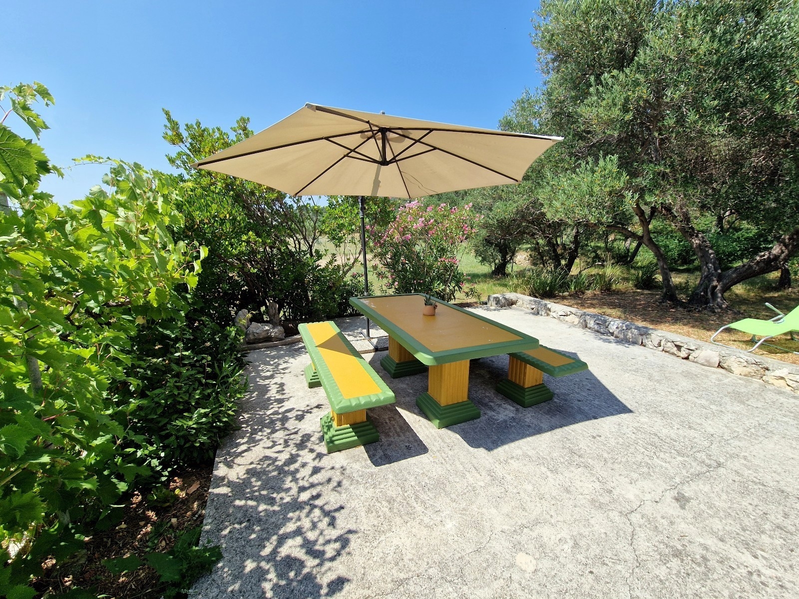 Top Rab Barbat Top Rab Barbat