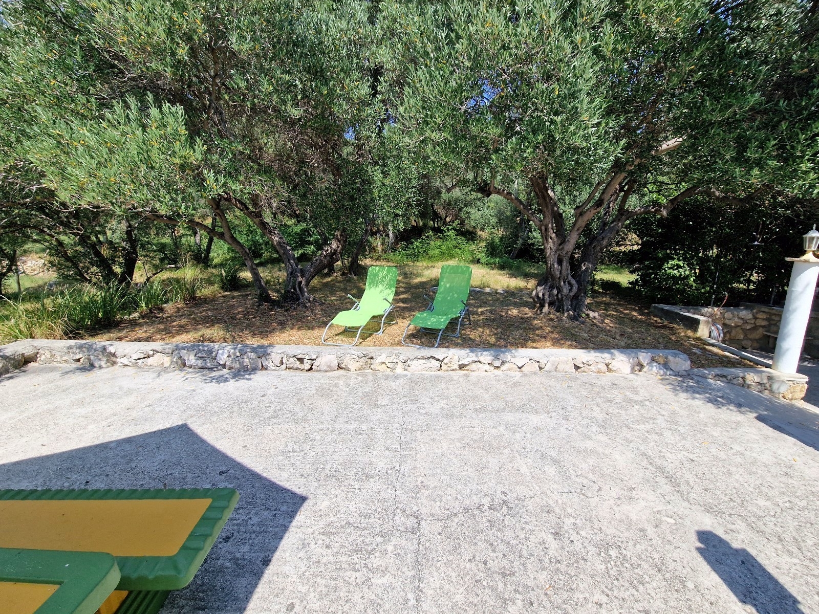 Top Rab Barbat Top Rab Barbat