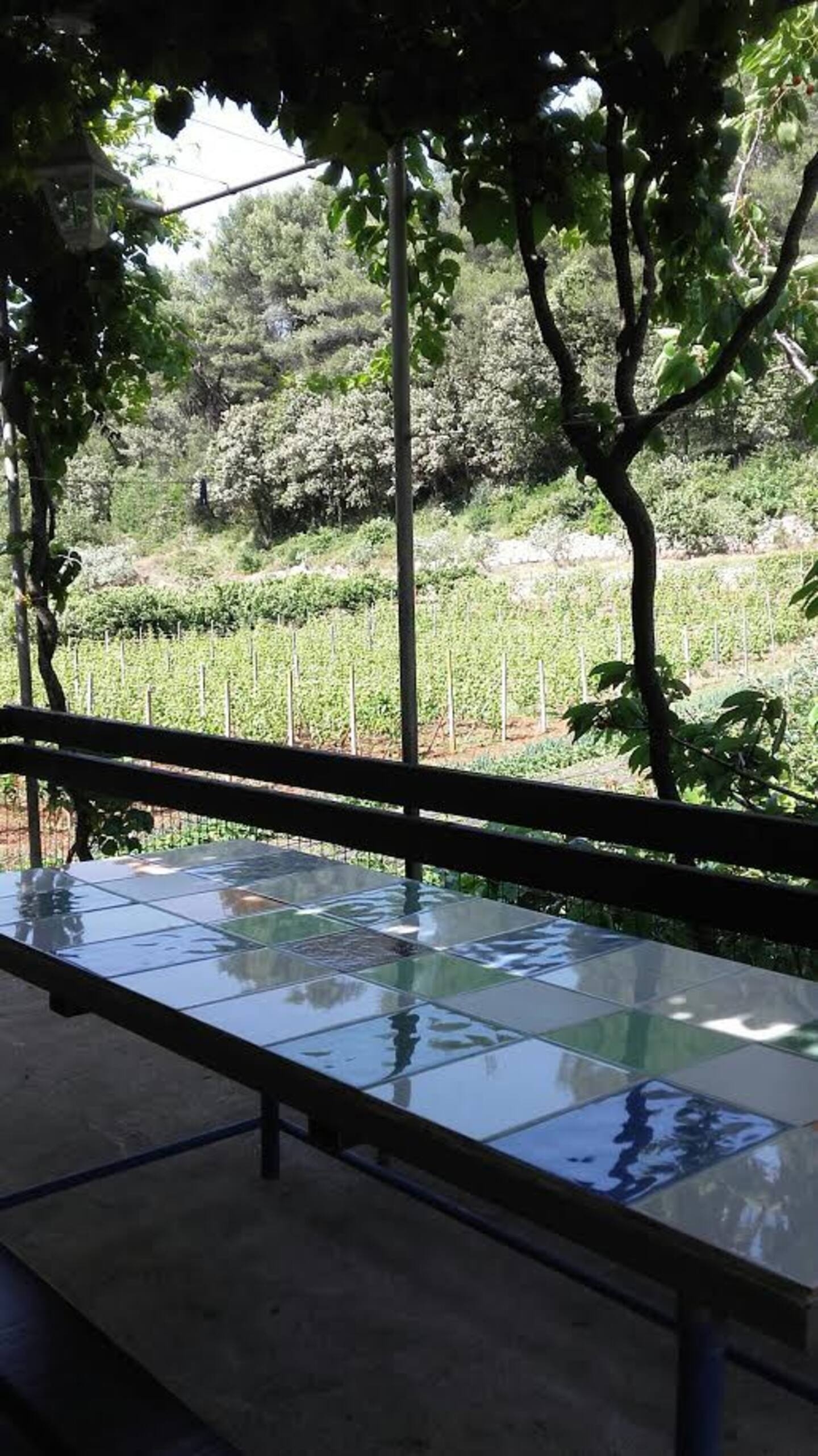 Two bedroom house with terrace Postira, Brač  K