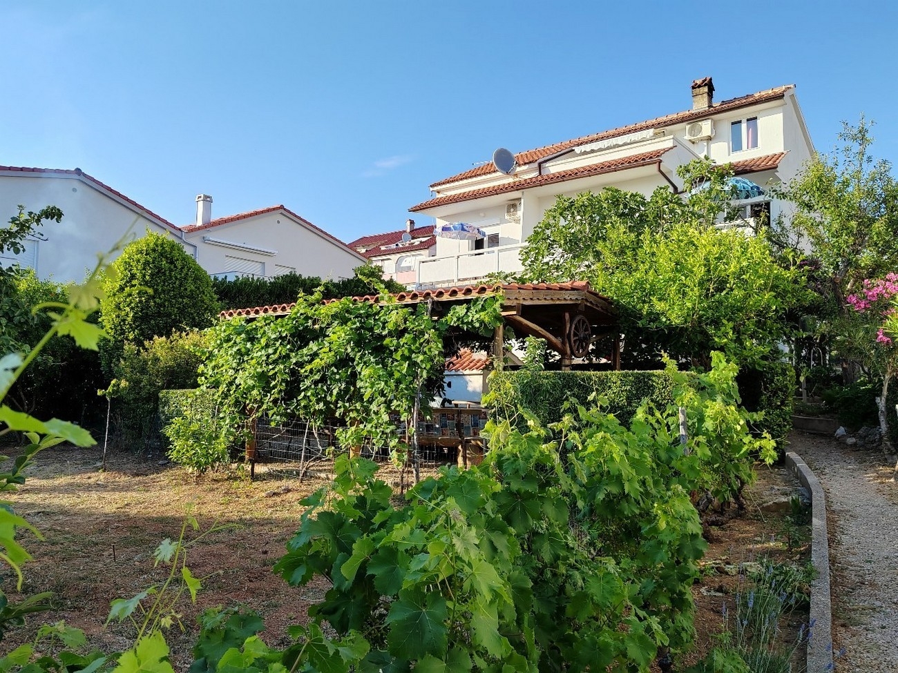 Top Rab Barbat Top Rab Barbat