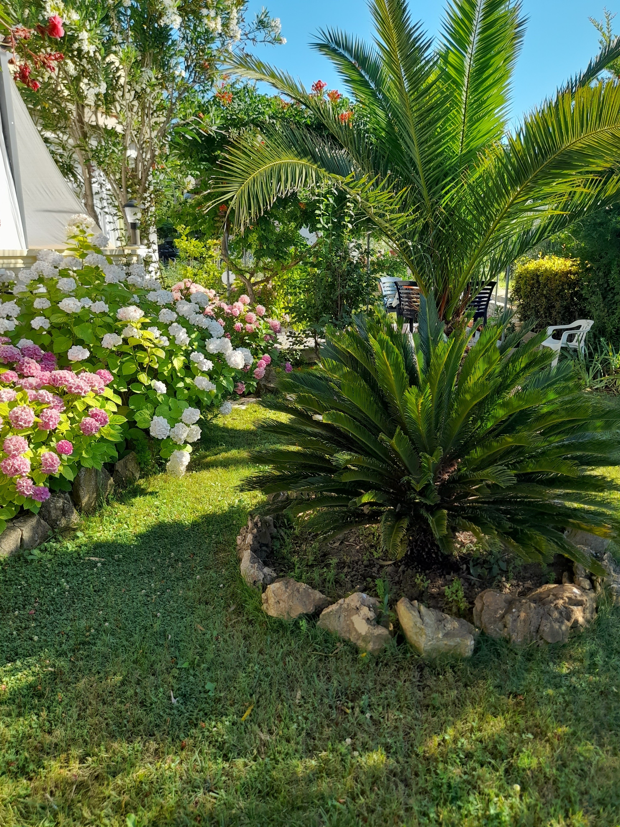 Top Rab Palit Top Rab Palit